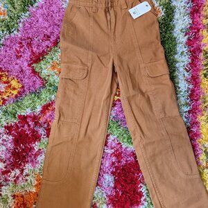 Billabong Cargo Pants Size 25